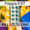 Filagra FXT dapoxetine1